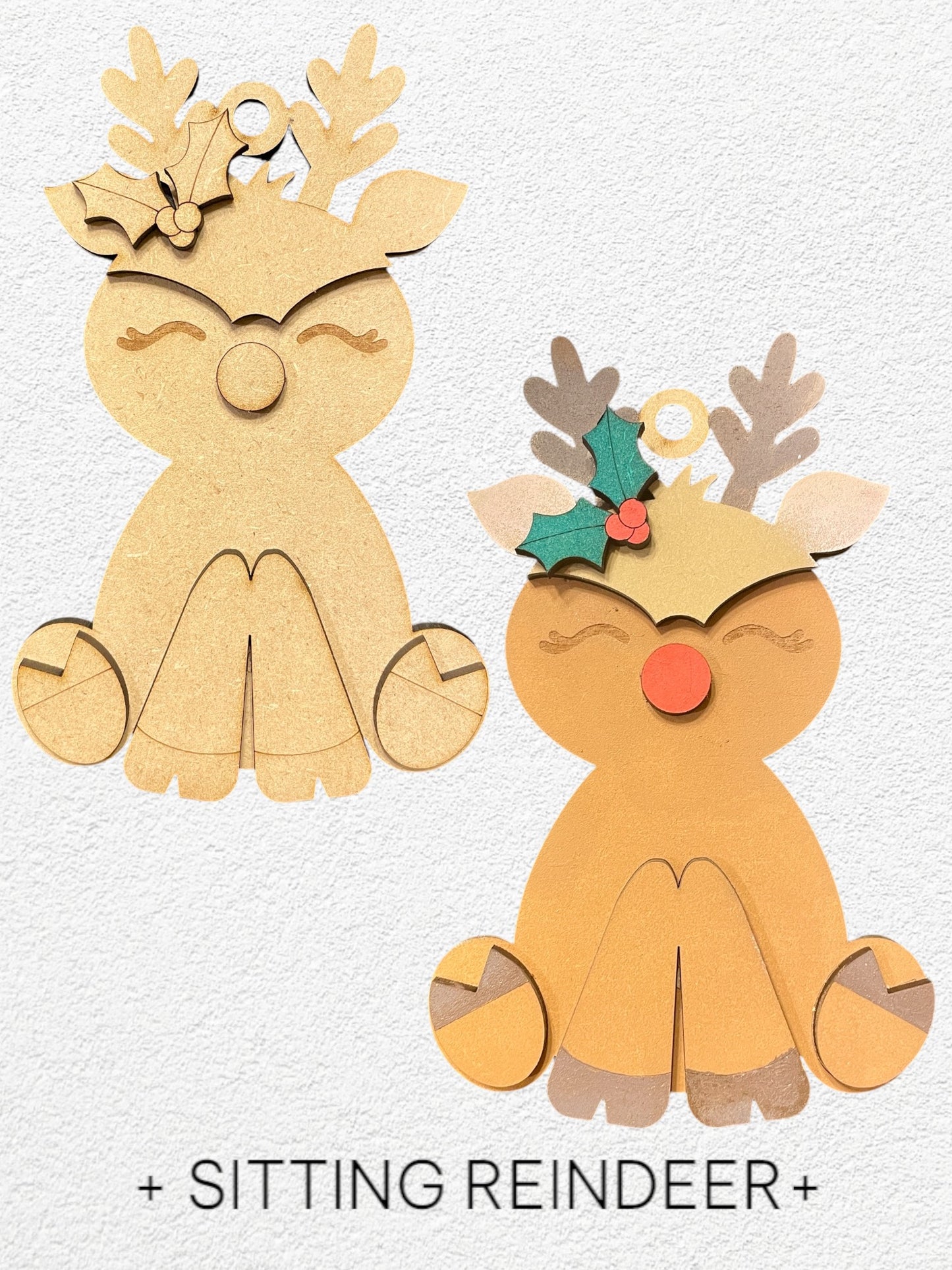 Family DIY Ornament Kit