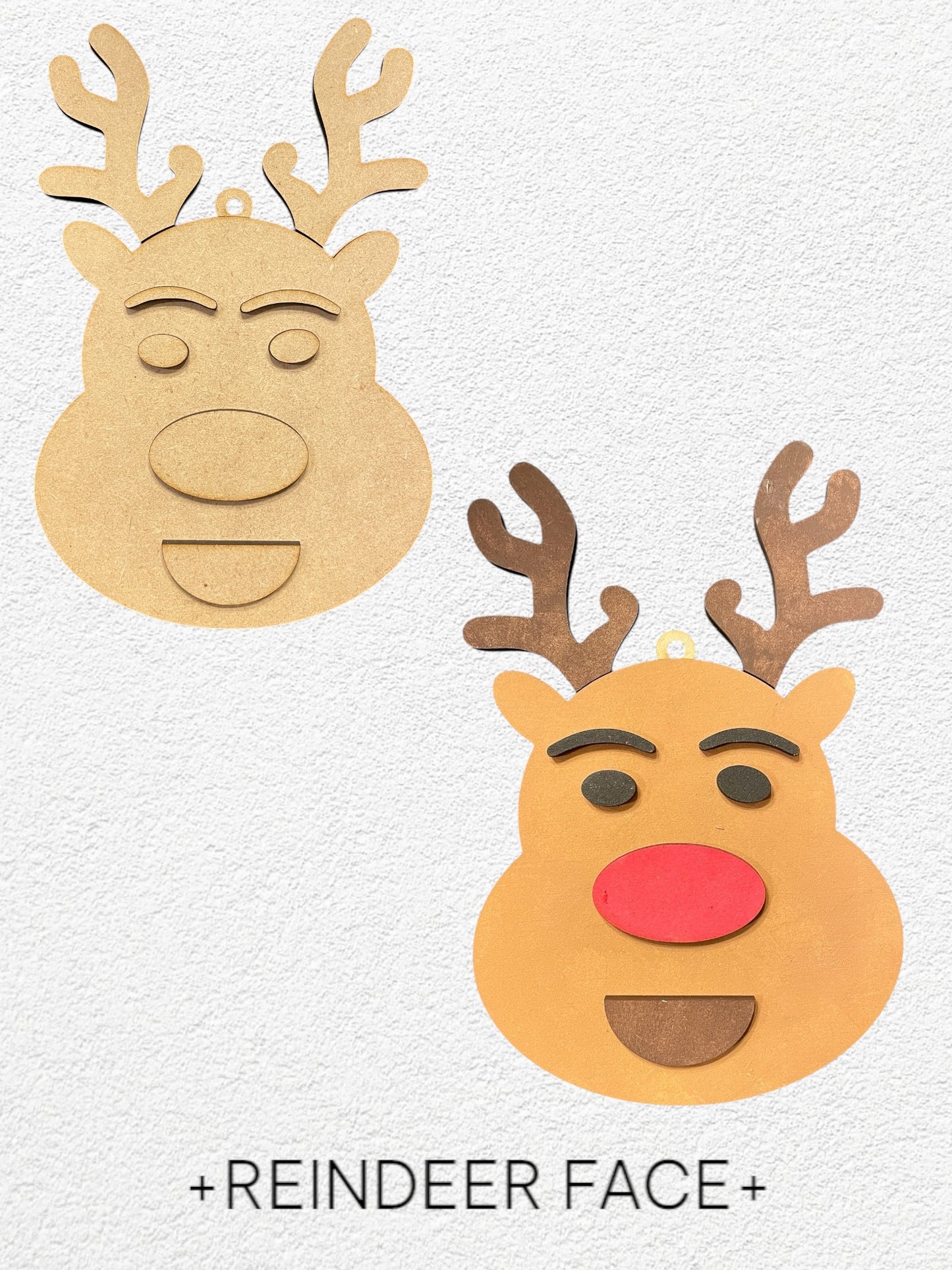 Family DIY Ornament Kit